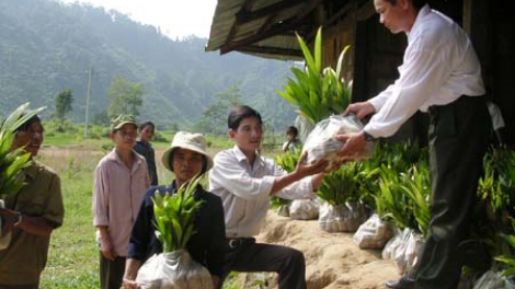 Hơn 65 tỷ đồng hỗ trợ giảm nghèo các huyện miền núi Quảng Ngãi