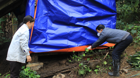 Miền núi Quảng Ninh chủ động phòng chống rét, dịch bệnh cho vật nuôi, cây trồng