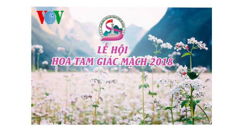 Lễ hội hoa Tam Giác Mạch lần thứ IV tại Hà Giang