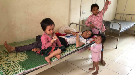 Điện Biên: 8 nạn nhân trong một gia đình bị ngộ độc nấm lạ