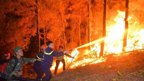 Các địa phương chủ động phương án cháy rừng