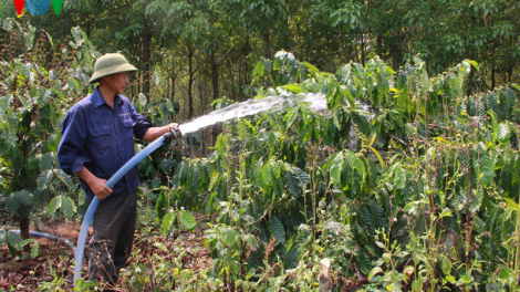 Đắk Lắk: Đảm bảo nguồn điện chống hạn cho cây trồng trong mùa khô