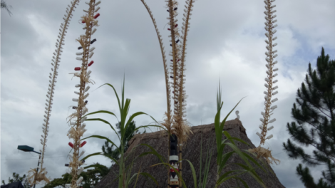 Cây nêu của người Pa cô mang biểu tượng bông lúa