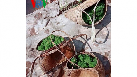 Rêu suối – món ăn dân dã của người Thái Tây Bắc