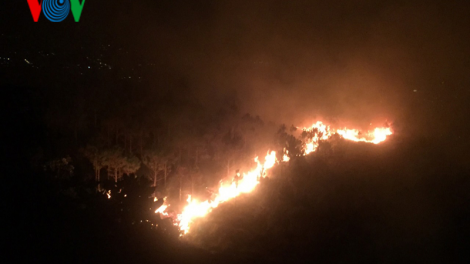 Cháy rừng thông trên núi Đại Bình ở Lâm Đồng