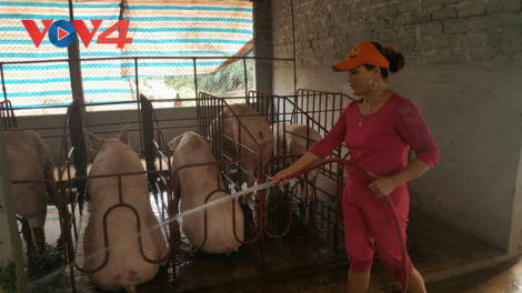 Hiệu quả nguồn vốn quỹ hỗ trợ nông dân ở Tân Sơn