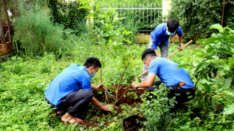 Tuổi trẻ Đắk Lắk chung tay “trồng 1 tỷ cây xanh”