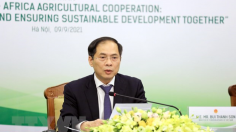 Hợp tác nông nghiệp Việt Nam - Châu Phi: Tăng cường kết nối, cùng phát triển bền vững