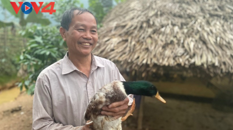 Hiệu quả hỗ trợ nông dân của Hội Nông dân tỉnh Yên Bái