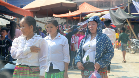 Nhiều hộ Mông ở Thanh Hoá sập bẫy tiền ảo đa cấp