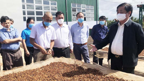 Bộ trưởng Bộ Nông nghiệp và PTNT Lê Minh Hoan: Gia Lai phấn đấu trở thành trung tâm nông sản của Tây Nguyên