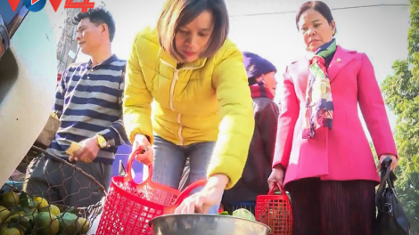 Phụ nữ Lào Cai dùng làn nhựa để giảm...rác thải nhựa