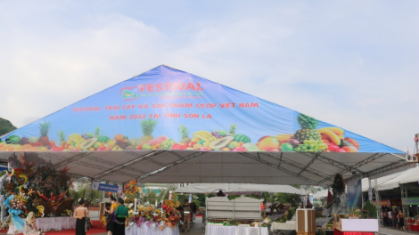 Festival trái cây ở Sơn La, dấu ấn tốt đẹp về "tỉnh chủ nhà"
