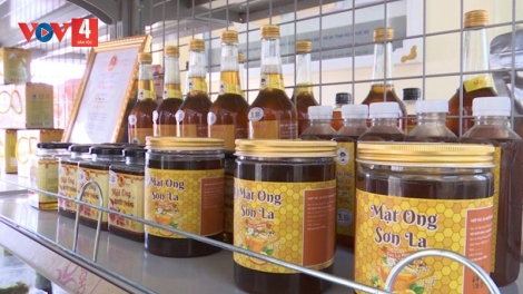 Mật ong hoa nhãn - sản phẩm OCOP 4 sao nổi tiếng của Sông Mã. 