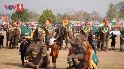 Lễ hội voi 2024 tại Lào hứa hẹn nhiều hoạt động hấp dẫn