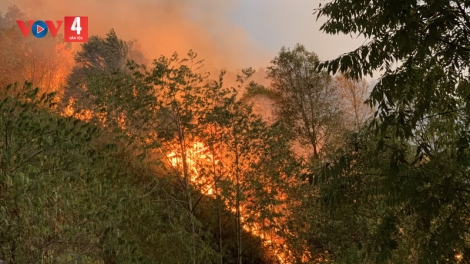 Thời tiết khô hanh, Yên Bái tăng cường phòng chống cháy rừng