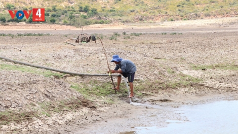 Nhiều hồ trơ đáy, Ninh Thuận có nguy cơ thiếu nước khi nắng nóng còn kéo dài