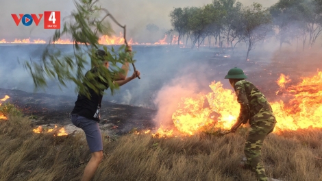 Quảng Trị: Cảnh báo cháy rừng trong mùa khô