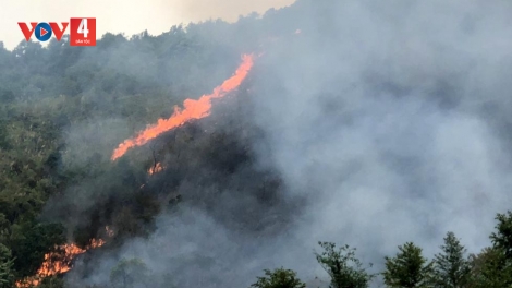 Lai Châu cơ bản khống chế được đám cháy rừng 