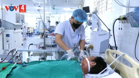 Lào Cai: Người đàn ông nguy kịch sau khi ăn thịt lợn chết và cảnh báo từ bác sĩ
