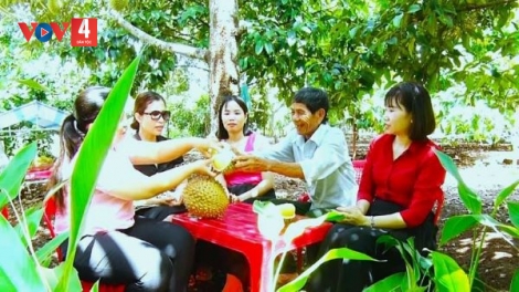 "Thủ phủ trái cây" của Đồng Nai bước vào vụ thu hoạch rộ sầu riêng
