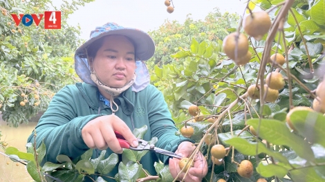 Liên kết để xây dựng vùng nguyên liệu, bài học trong xuất khẩu nông sản