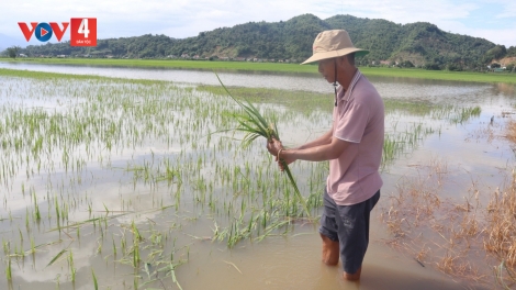 Đắk Lắk tăng cường các giải pháp ứng phó với thiên tai