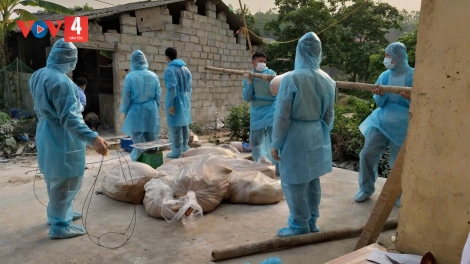 Lạng Sơn: Cấp bạch phòng chống dịch tả lợn châu Phi