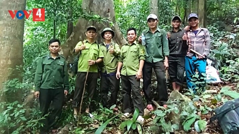 Hiệu quả từ giao khoán, bảo vệ rừng ở Bình Định