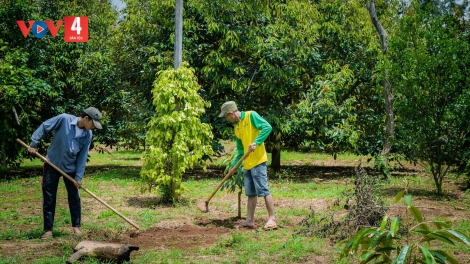 Điểm tựa vững chắc để nông dân làm giàu