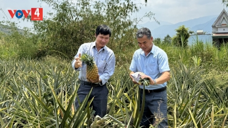 Đổi thay ở Khu căn cứ kháng chiến H9 Đắk Lắk