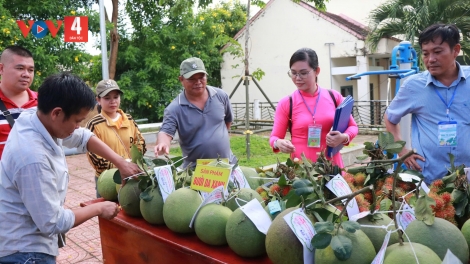 Khánh Hòa tổ chức Lễ hội trái cây, tìm đầu ra cho nông sản