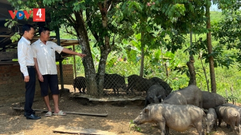 ĐỢ ZÊN VẶ TƠỢ XA NAY BH’RỢ TAM NÔNG ZOOI BẤC PR’LOỌNG ĐONG ĐHANUÔR COH DA DING K’COONG QUẢNG NAM BƠƠN T’BIL LƠI ĐHARỰT