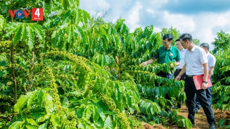 SLE LẺ TỈ AI PẰNG HẨƯ PỈ NOỌNG HẾT CHÀU