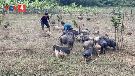 HỢP TÁC XÃ NÔNG LÂM NGHIỆP A LIÊNG LÊY CHÔ BHRỢ TING N’JUÔNG CHR’NẮP