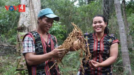 ĐHANUÔR CƠ TU PA DƯR PR’ẶT TR’MÔNG TƠỢ CH’CHOH B’BÊỆT