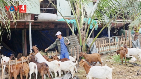 DƯR ZI LÂH ĐHA RƯT ĐƯƠI VÊY K’RONG BĂN BÉ, ỐC BƯU TĂM