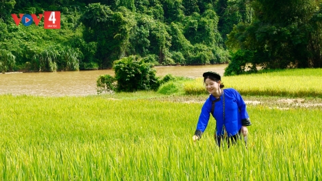 CHƯƠNG TRÌNH KHAY HENG TÀY-NÙNG (Thứ 3, Vằn 24 bươn 6 pi 2025)