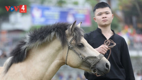 PHIÊN CHỢ NGÀY XUÂN