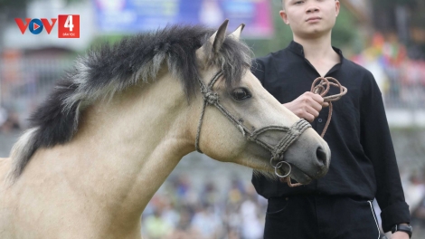 CHƯƠNG TRÌNH XƯỚNG THEN, SLI, LƯỢN