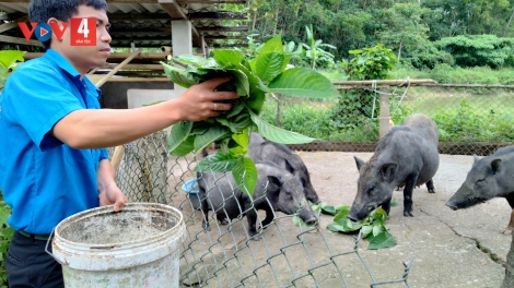 ĐHANUÔR CƠ TU BHRỢ CHA Z’ZĂNG ĐƯƠI TƠỢ B’BĂN