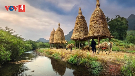 LỜI TÌNH YÊU (Tổ khúc Then Tày)