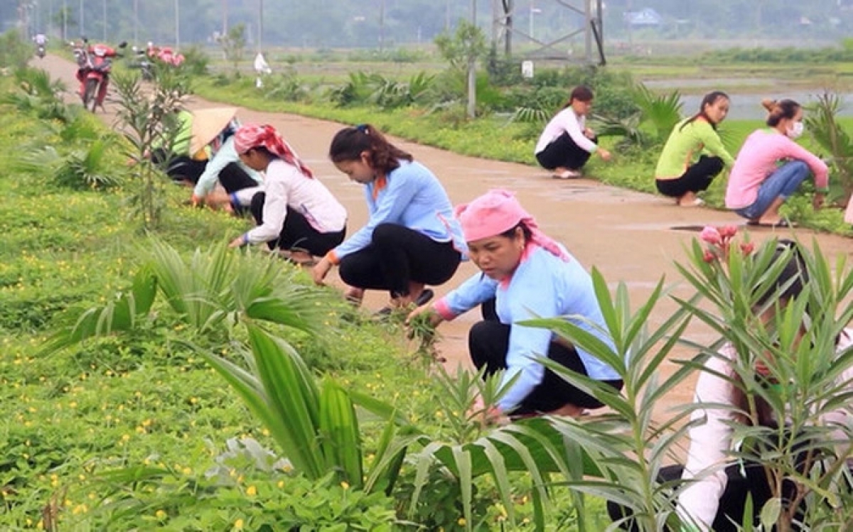 
Đah kơmơi Lào Cai hăng hơdôm ring bruă “jơlan bơnga”