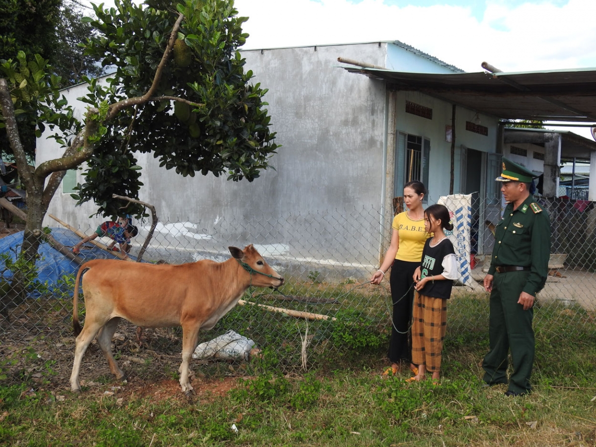 Puih kơđông tơhan pơgang guai dêh čar  ƀơi amăng jang Bơ Y brơi rơmô ania kơ sang anŏ ƀun rin plơi Đak Mê̆, să Pờ Y, tơring glông Ngọc Hồi pioh rông