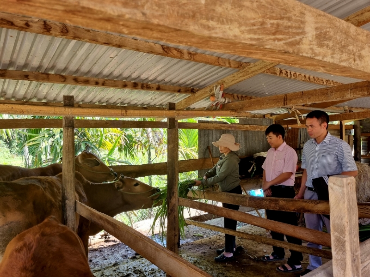 
Yua hơmâo prăk čan djru mơnuih tơnap tap, sang anŏ yă Nguyễn Thị Tín bơwih ƀong đĭ tui.