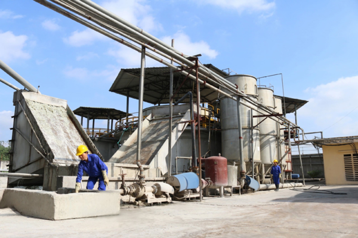 Vạn Điểm là đơn vị tái chế vỏ hộp giấy đựng đồ uống đã qua sử dụng, Biopa là đơn vị tổ chức và quản lý thu mua vỏ hộp giấy tại khu vực phía Bắc