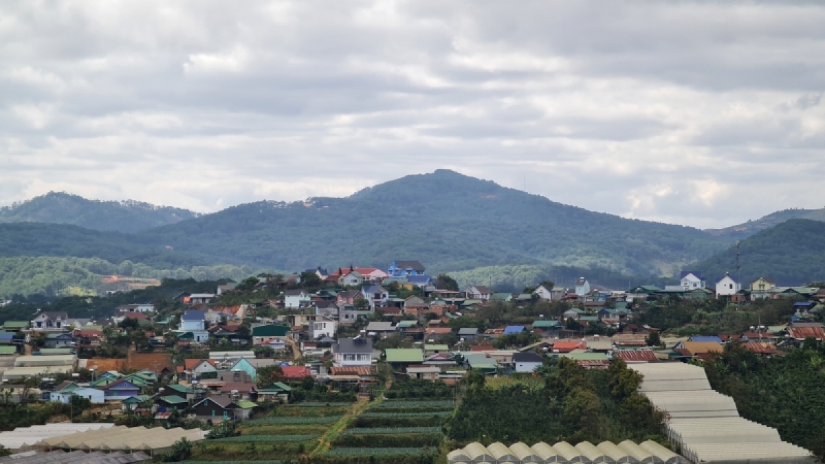 Mâu tơdroăng pơkâ tơnêi têa pêi pro tơƀrê hiăng kum mâu pơlê, cheăm a Lâm Đồng rế mơnhông tơtêk