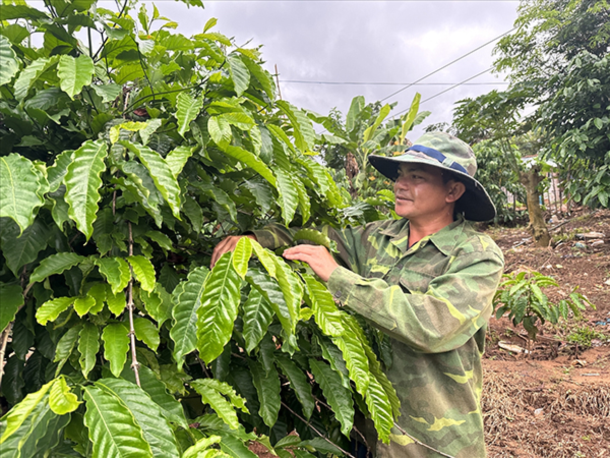 Anh A Veng mong muốn tìm được một công việc phù hợp với ngành học.