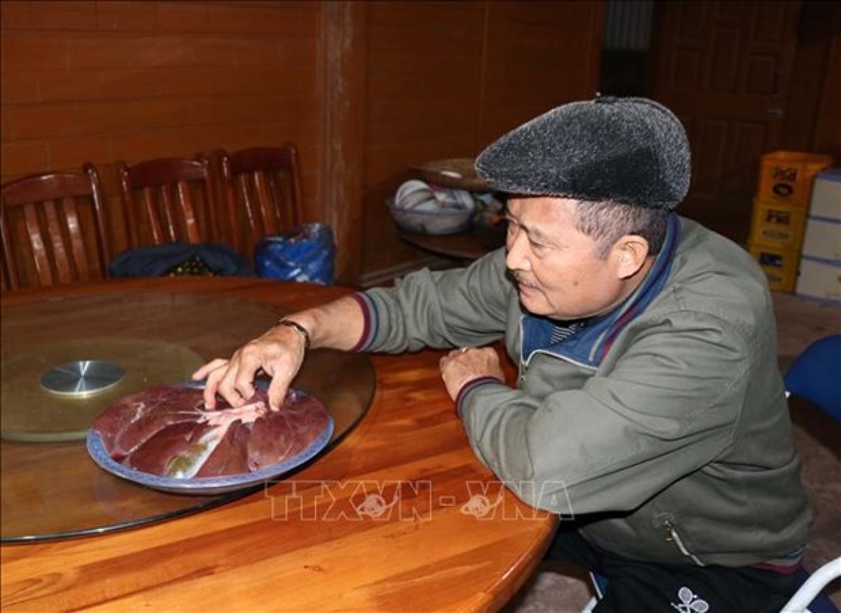 Già làng Hà Nhì xem lá gan lợn dự đoán vận mệnh gia đình trong năm mới (Ảnh KT: TTXVN)