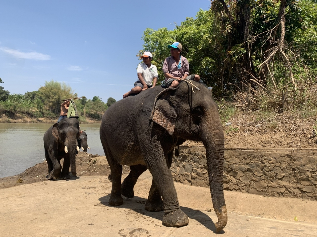 Pŭ rơman ƀơi tơdrun Bay Rông, să Krông Na, tơring glông Ƀuôn Đôn, tơring čar Dak Lak